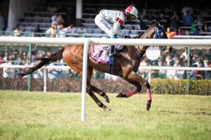 Live Indian Horse Racing Betting: Step-by-Step Guide for India (2027)